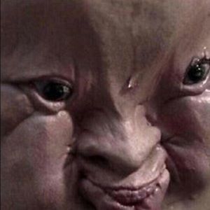 Meet your Posher, Sam